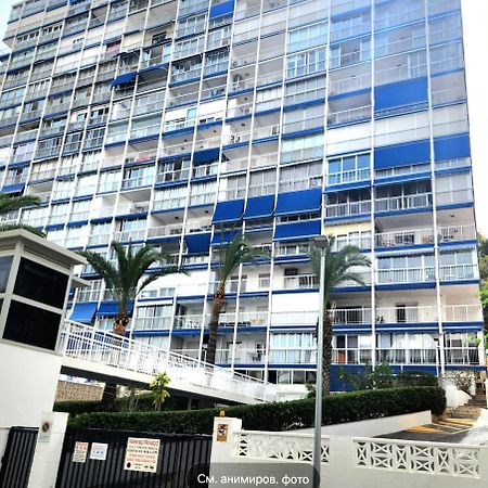 Apartment Alcalde Manuel Catalan Luxury ベニドルム エクステリア 写真